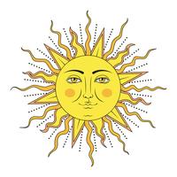 sole